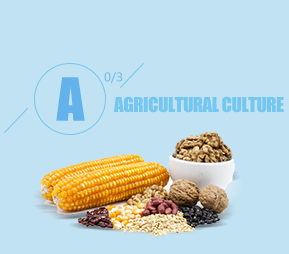 Agricultural culture